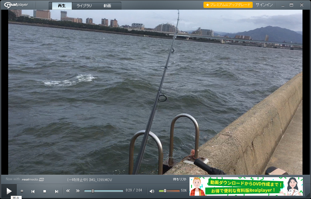 室見川へ暇つぶしで 福岡代表 博多ちびふぐ 金がないんで釣りでもすっか