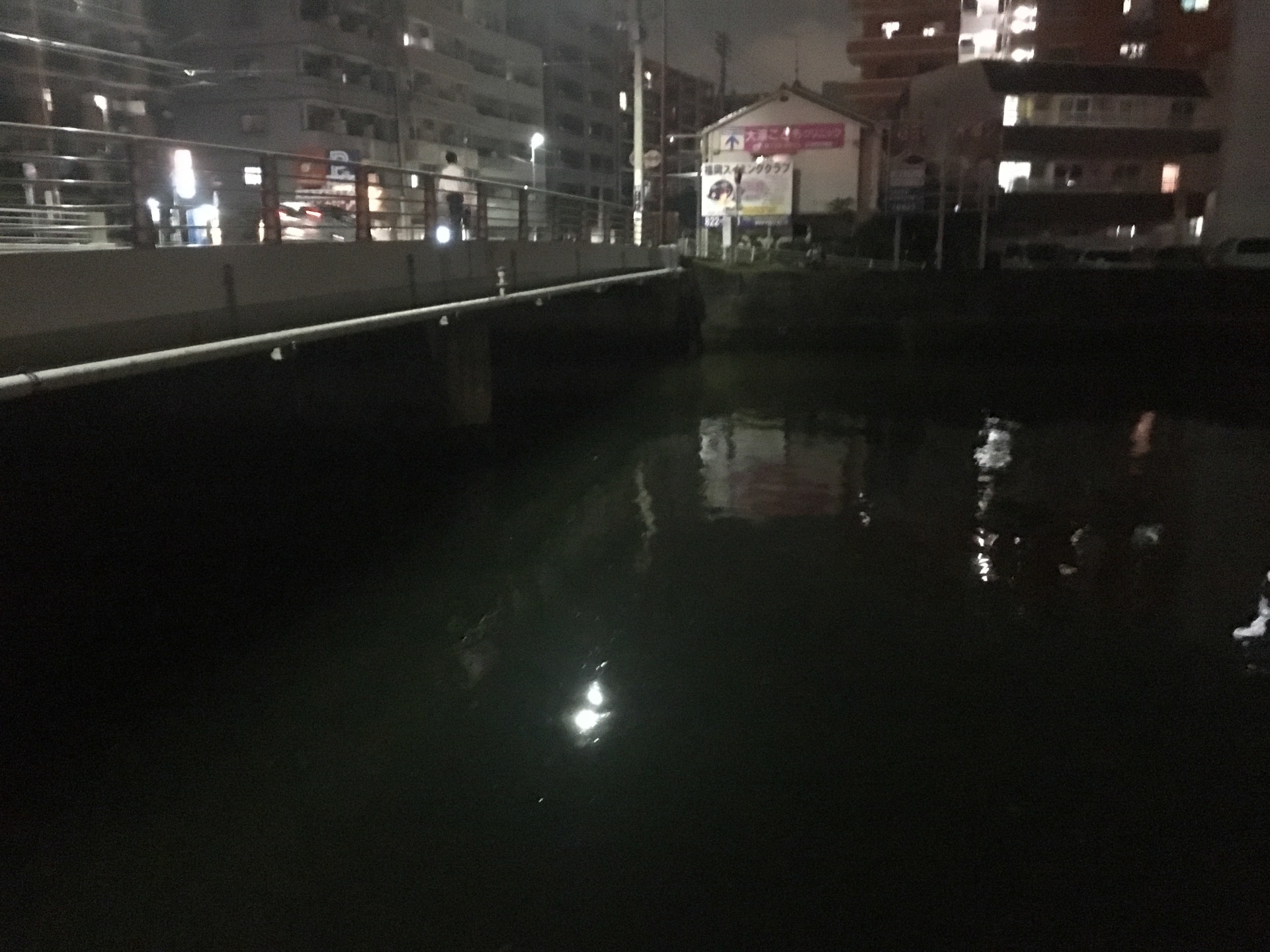 河川でのシーバスの狙い方 福岡代表 博多ちびふぐ 金がないんで釣りでもすっか