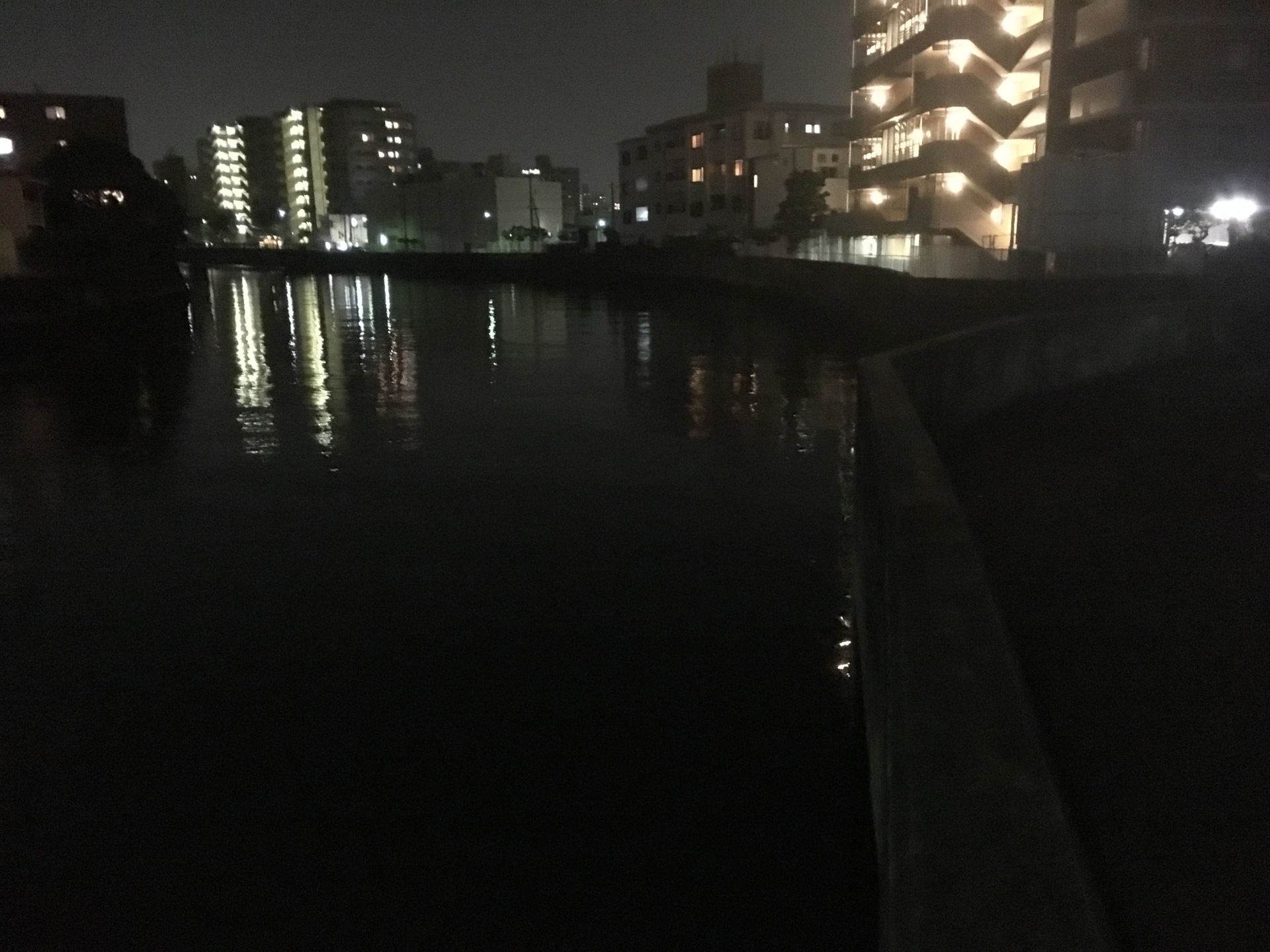 河川でのシーバスの狙い方 福岡代表 博多ちびふぐ 金がないんで釣りでもすっか